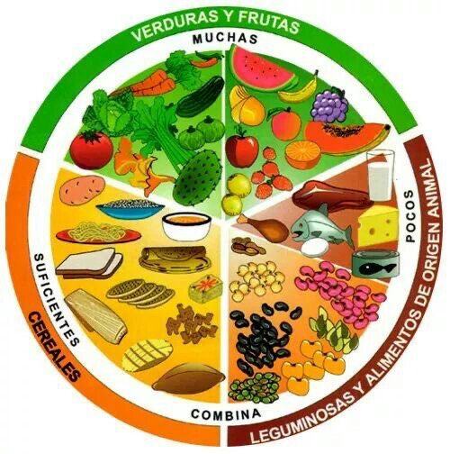 Alimentos Saludables El Plato Del Buen Comer Mi Primaria