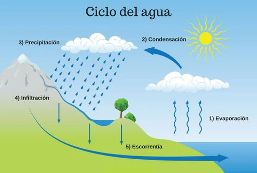 maqueta del ciclo del agua