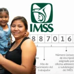 Número de Seguridad Social IMSS: cómo consultarlo en línea paso a paso