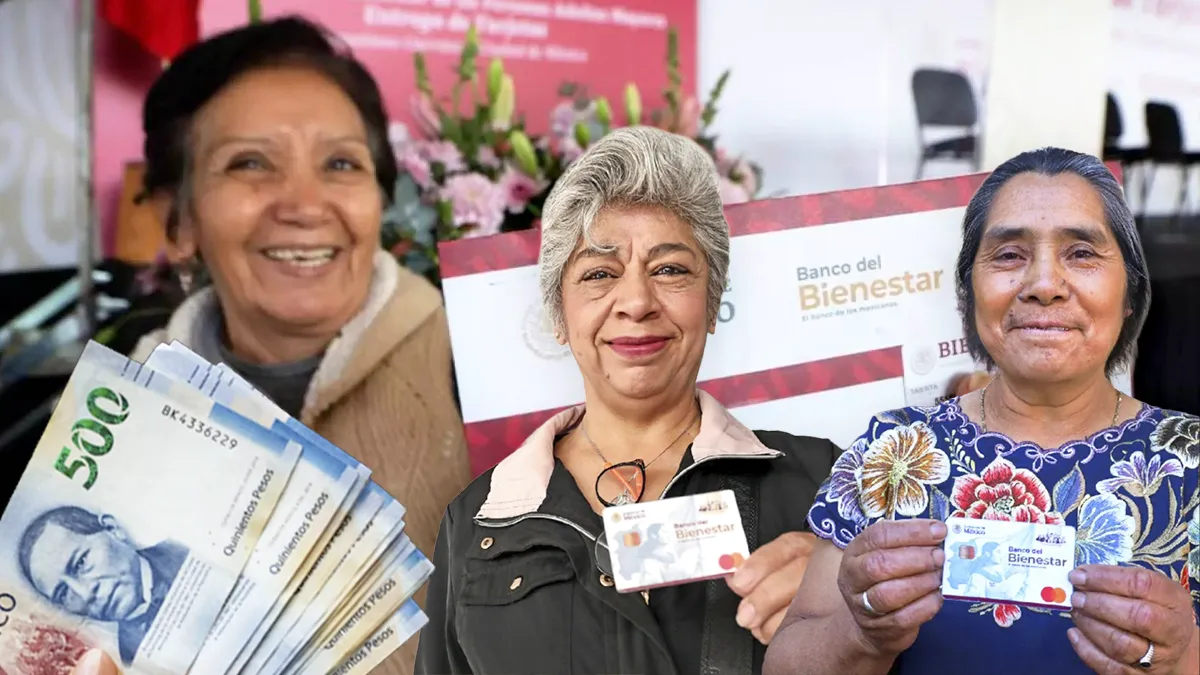 Registro Bienestar