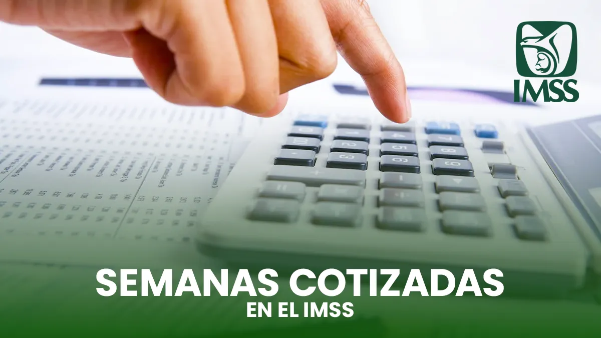 semanas cotizadas en el IMSS